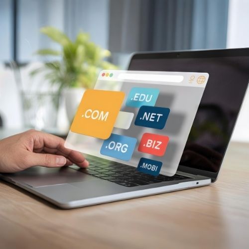 Domain Name Portfolio Management