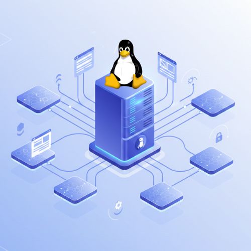 How to Get Started with Linux Reseller Hosting in France